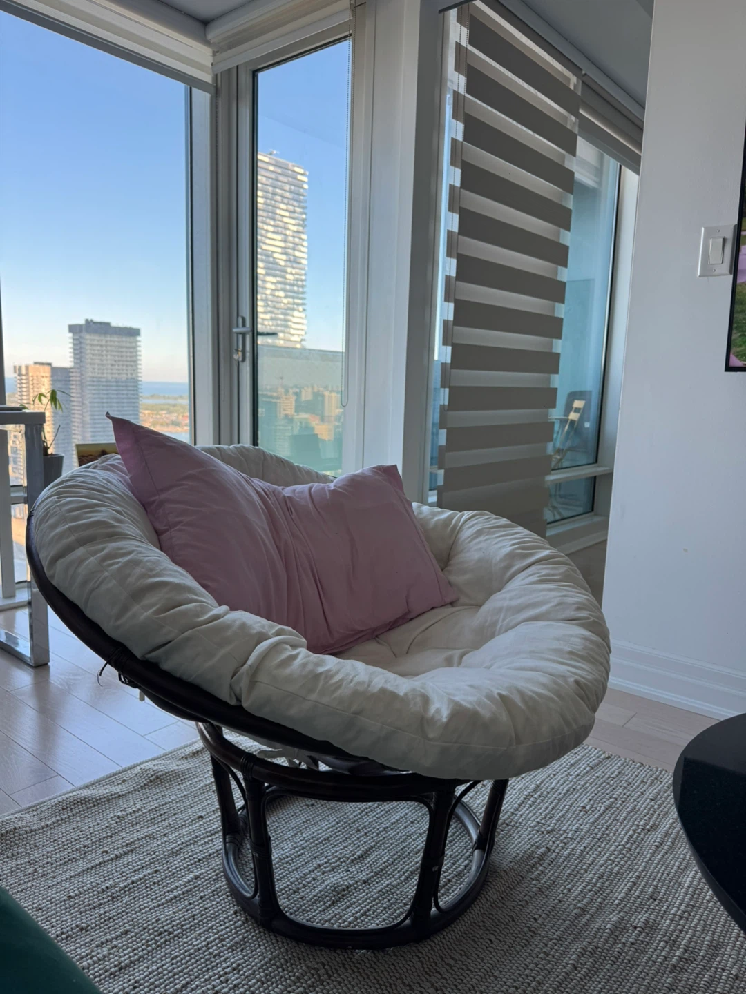 Pier 1 Papasan Chair with Cushion