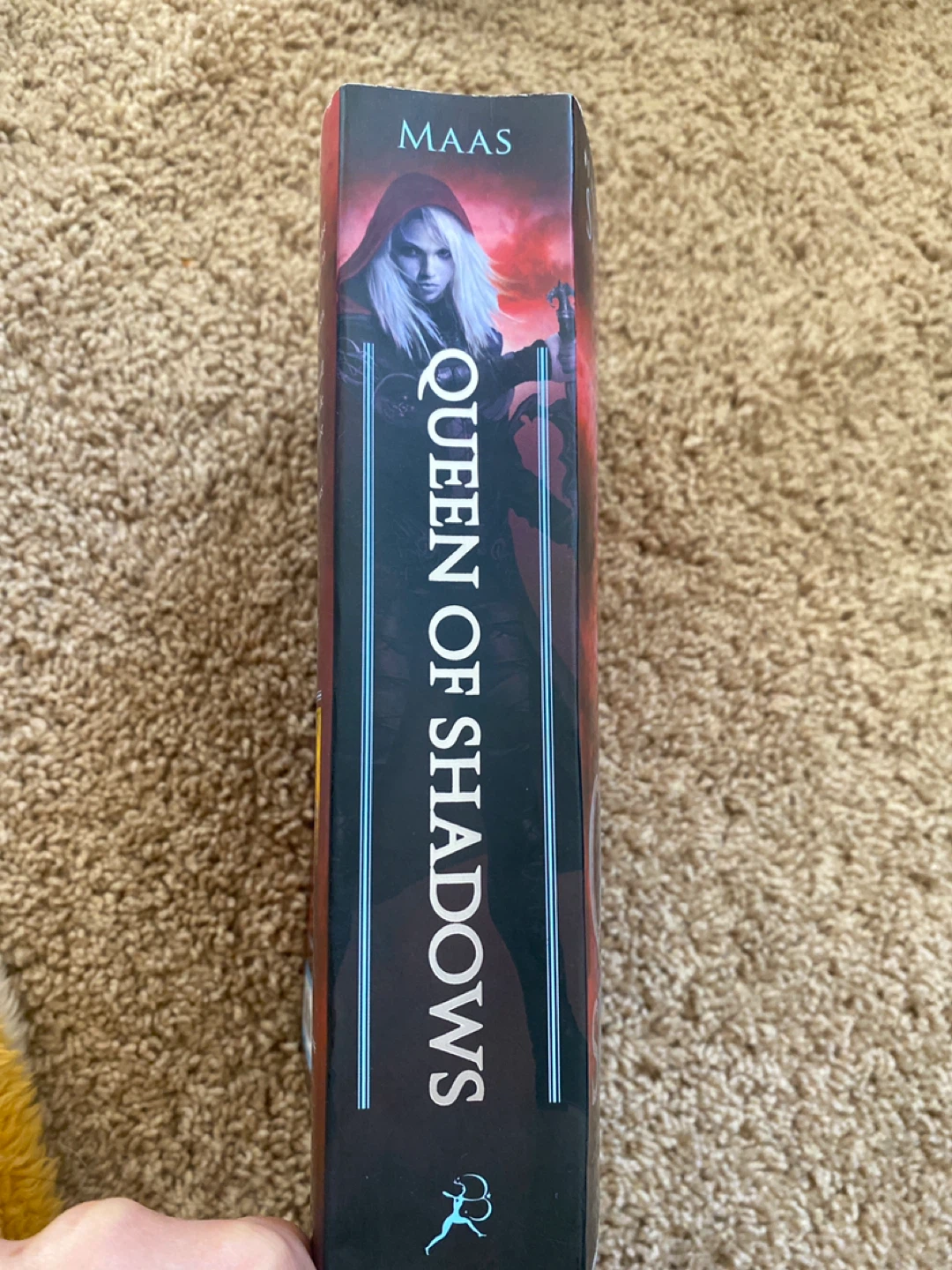 Queen of Shadows by Sarah J. Maas - photo 3