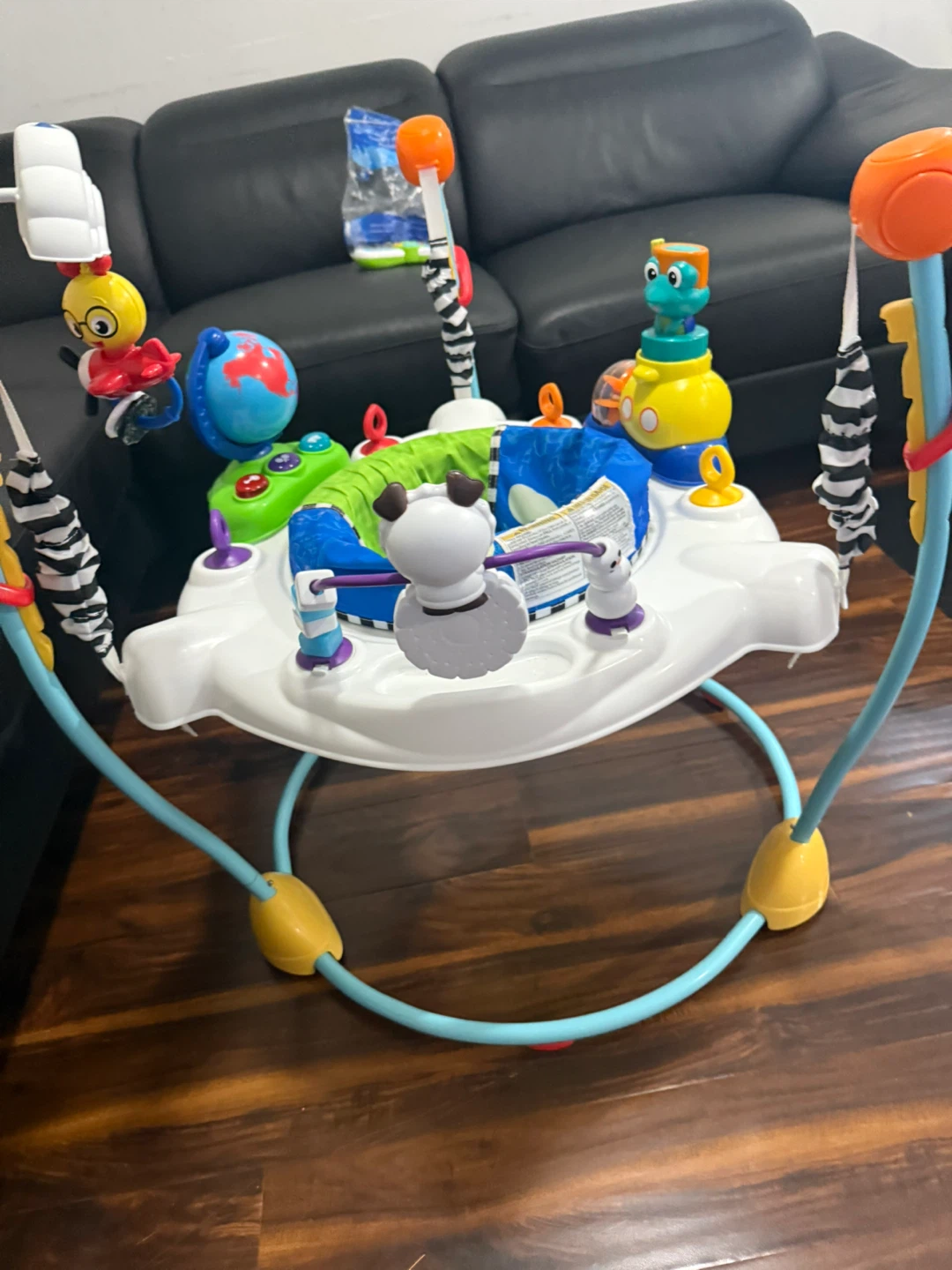 Baby einstein jumper
