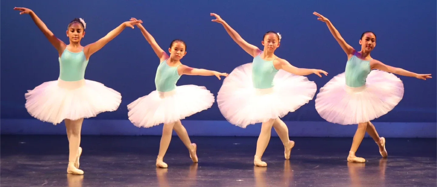 Ballet Tutu - White image indicator(2)