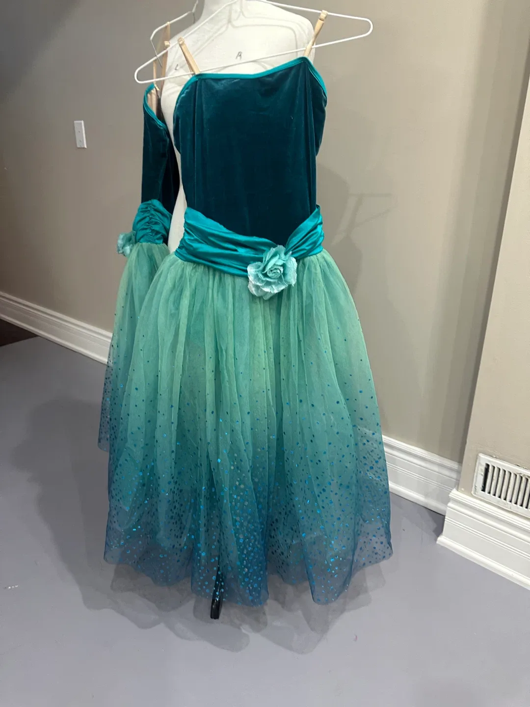 Teal & Green Ballet Costume image indicator(2)