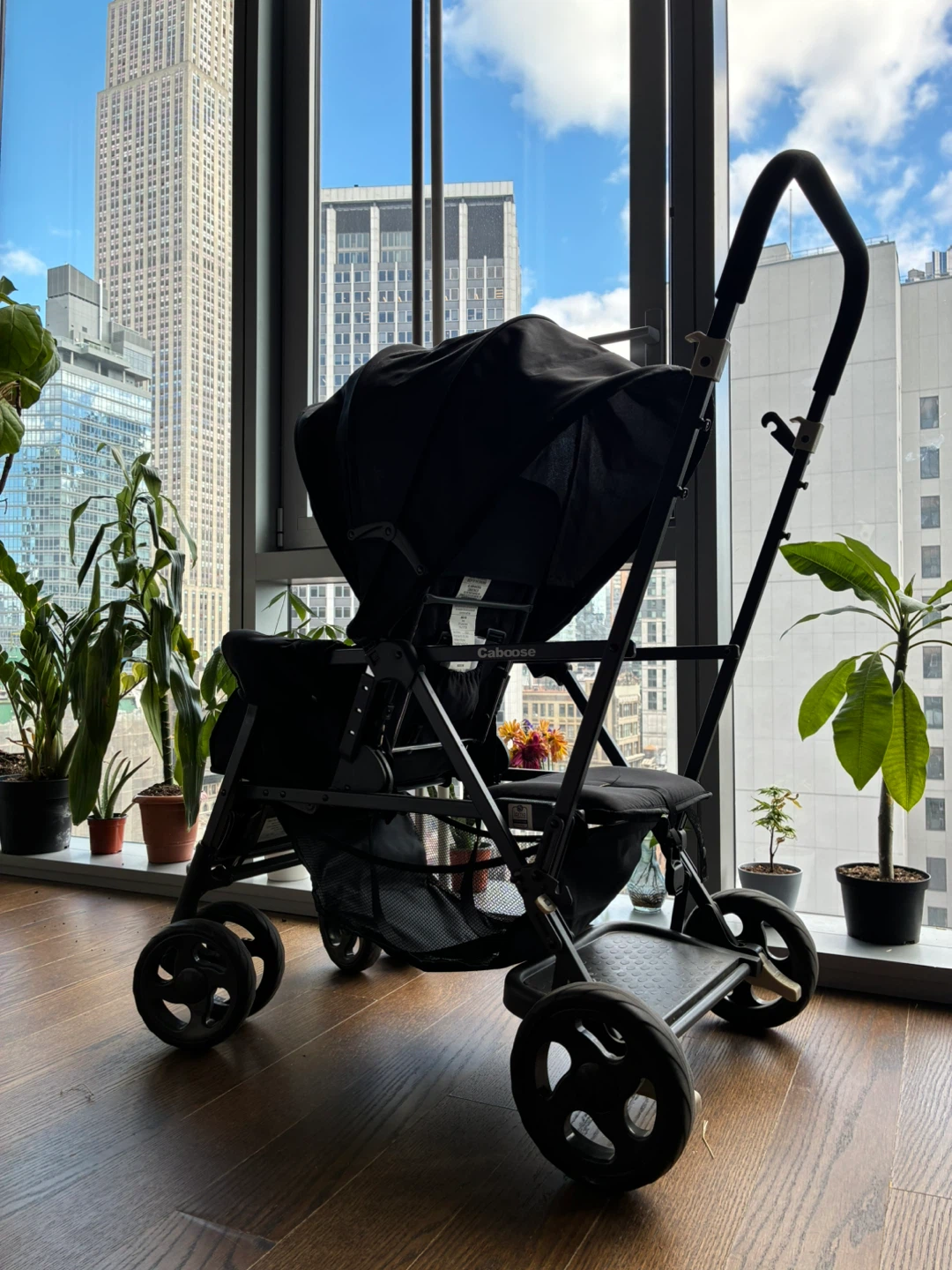 Black Joovy Caboose Stroller PreOwned