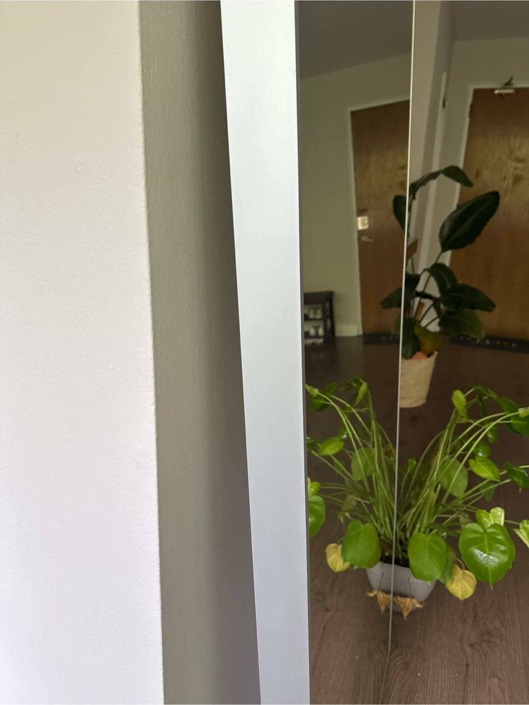 Full Length Mirror - photo 2