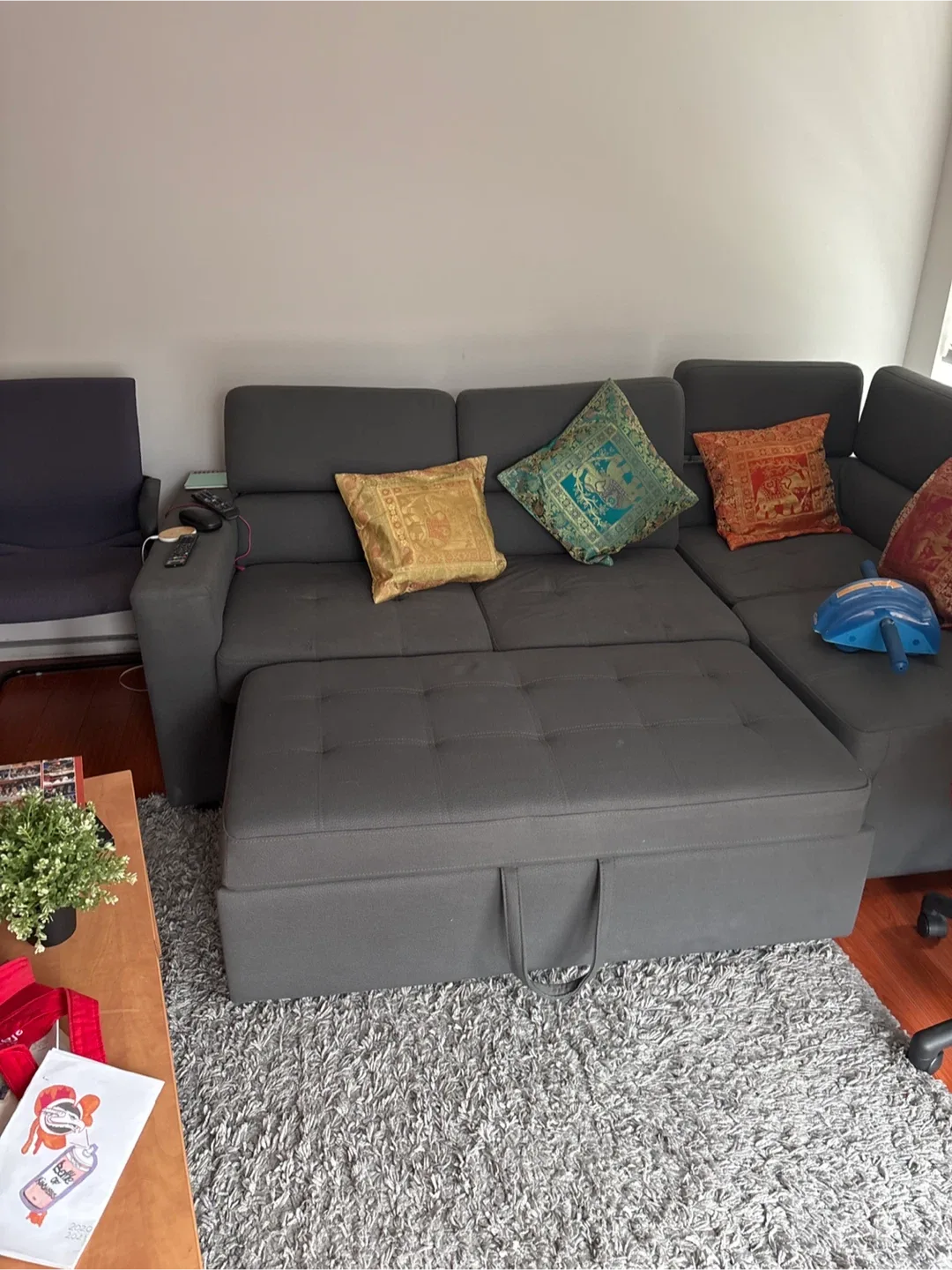 Grey sofa cum bed  with  storage Ottoman image indicator(3)