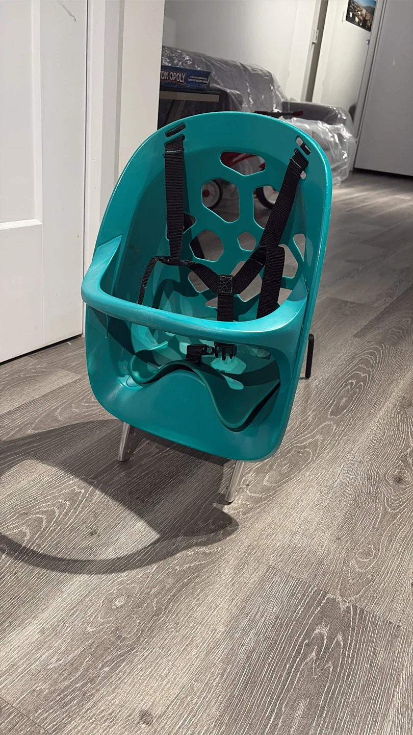 Infant / toddler Bike Seat