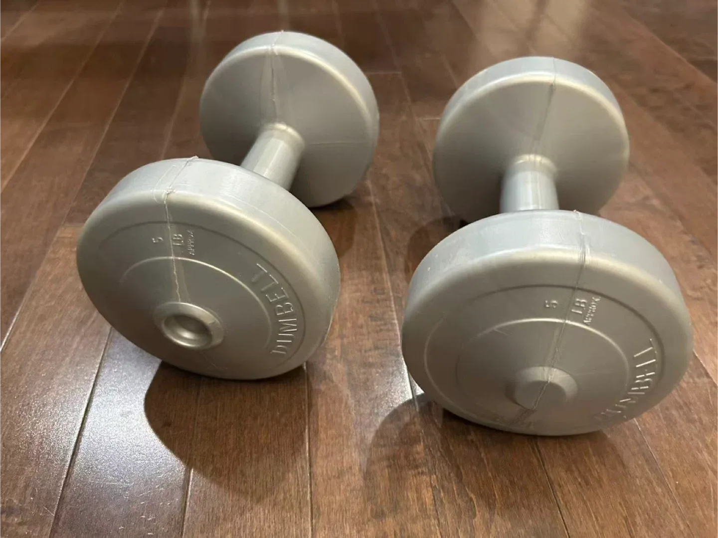 A Pair of 5lb Dumbbells image indicator(2)