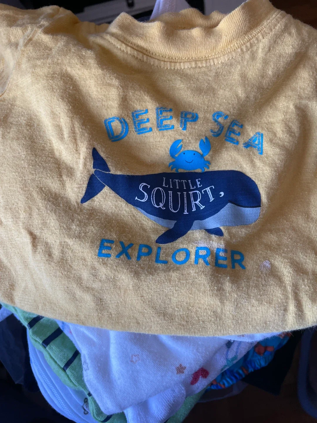 Assorted clothes for 6-12 months image indicator(3)