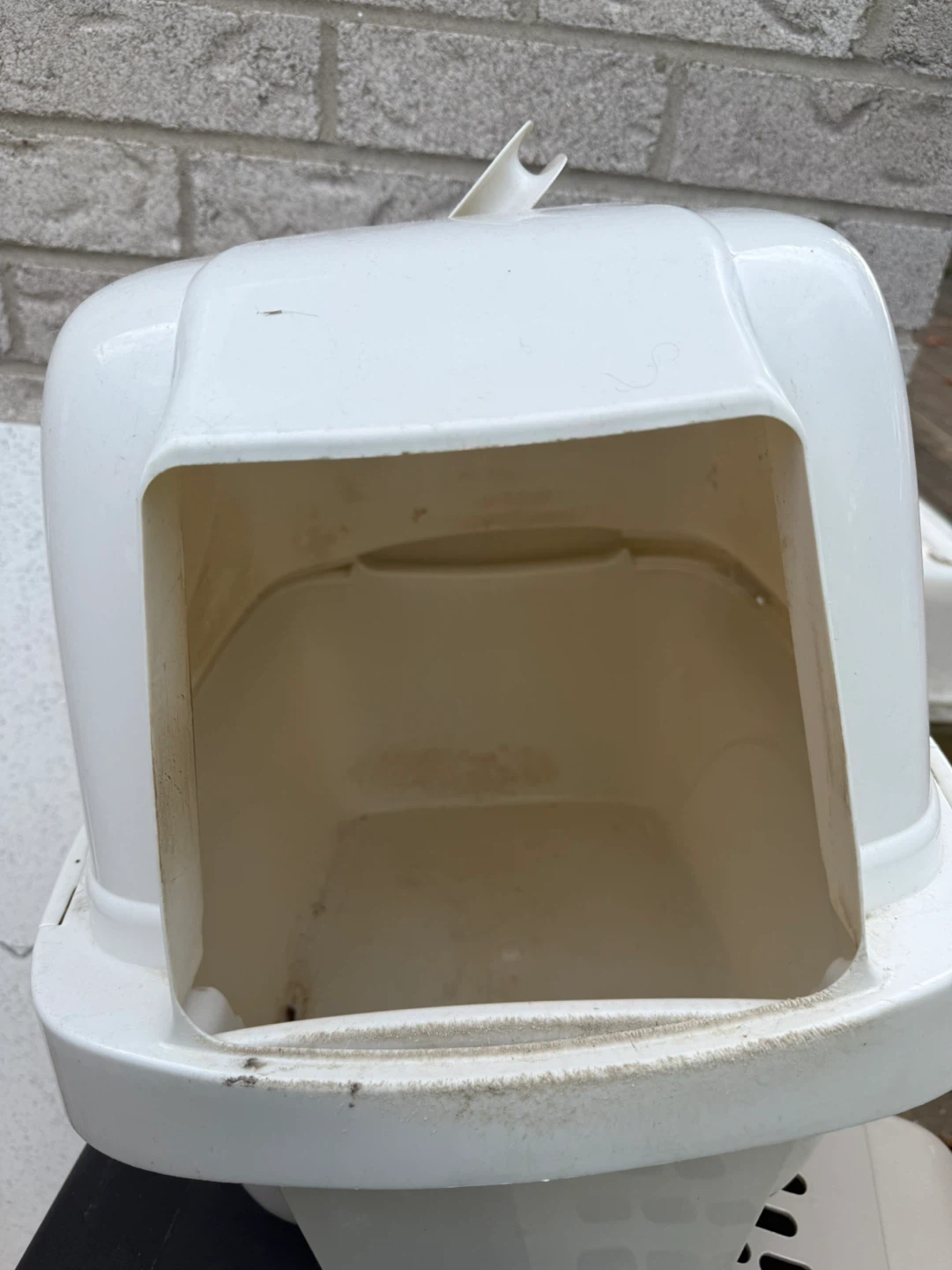 White Plastic Cat Litter Box