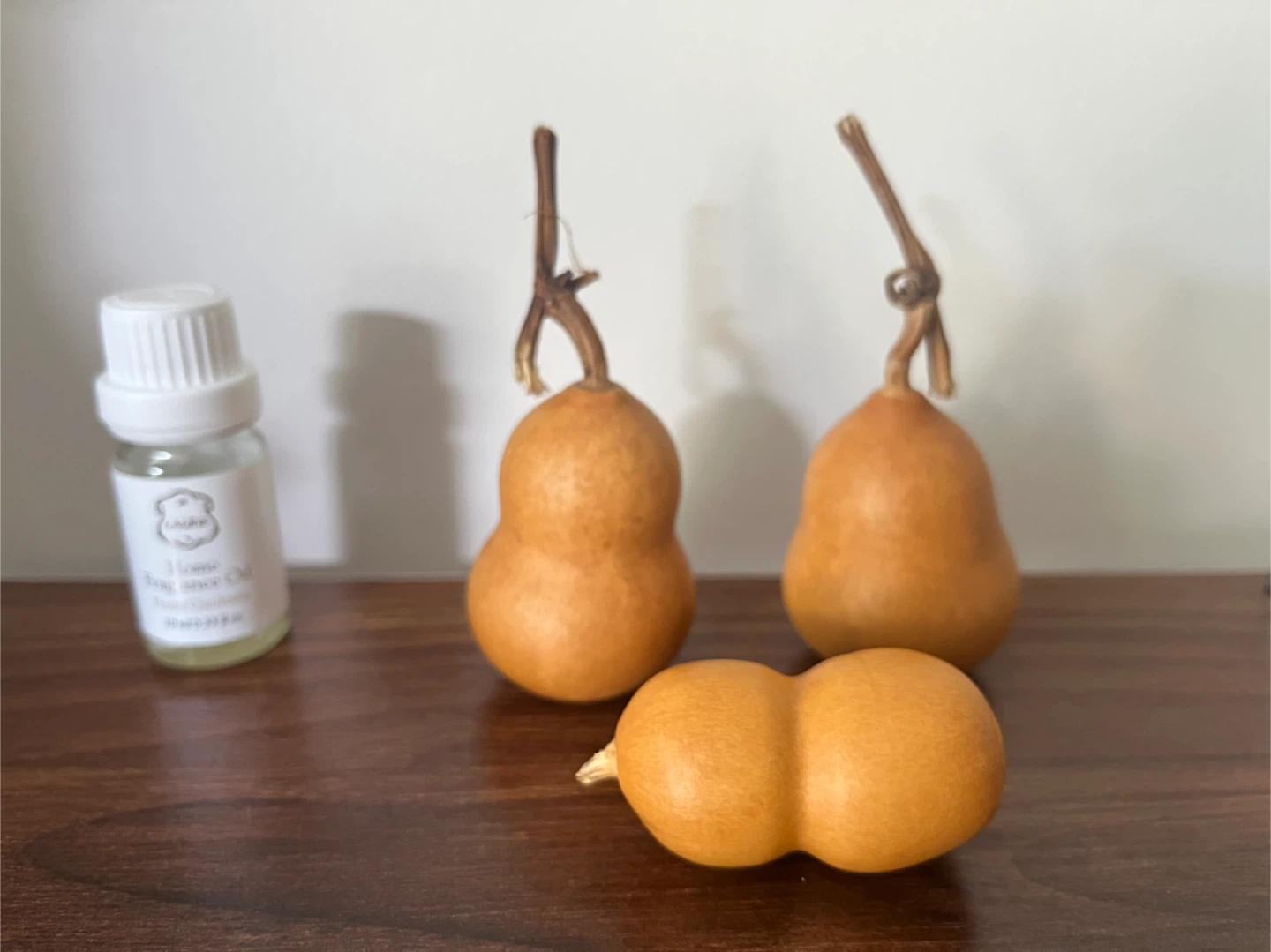 Decorative Dried Gourds 3 for $10