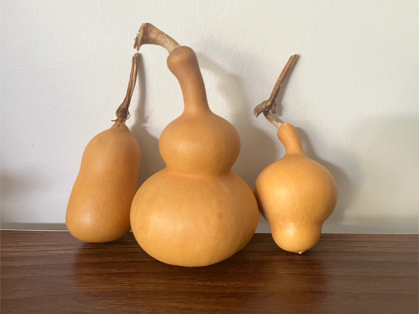 Decorative Dried Gourds 3 for $10 - photo 2