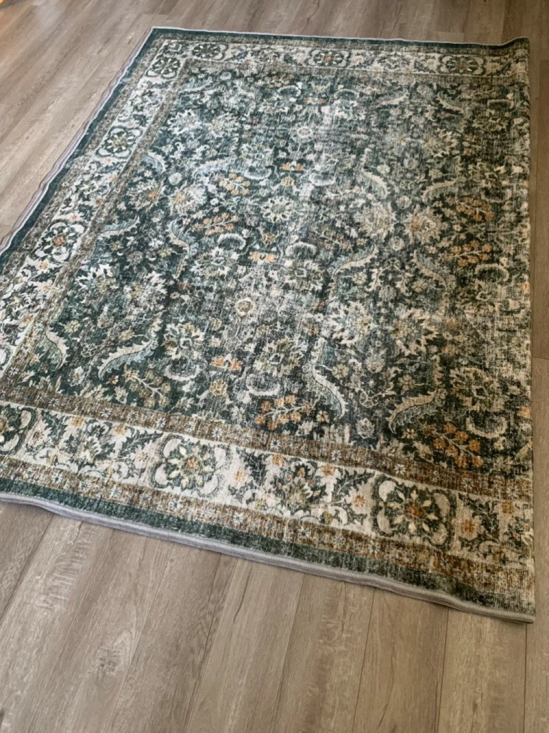 Brand New~ Area Rug (6ft x 9ft) image indicator(3)