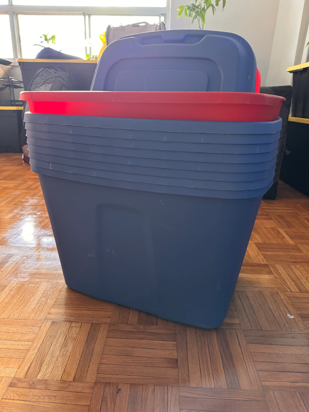 9 Storage Totes - Blue and Red Lids