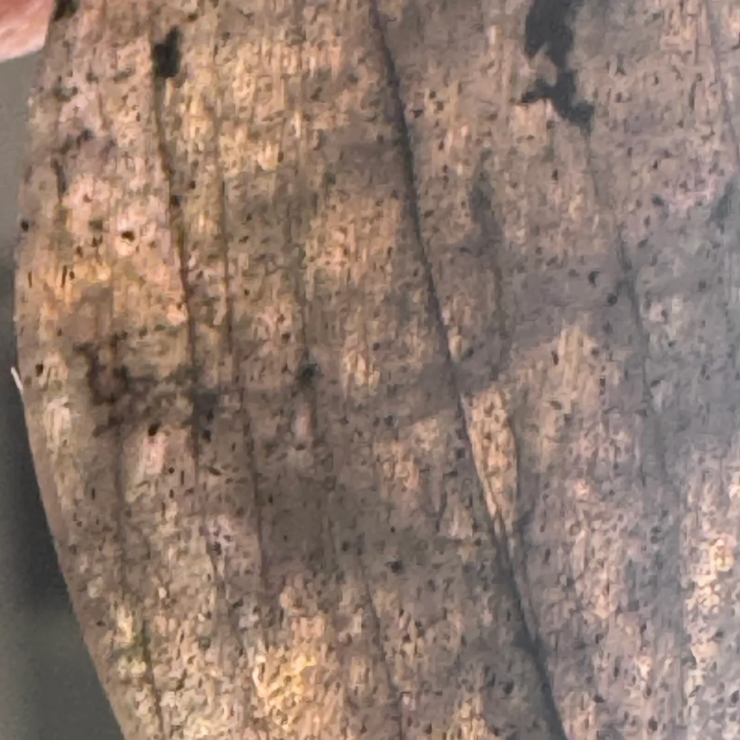 Labradorite Gemstone image indicator(4)