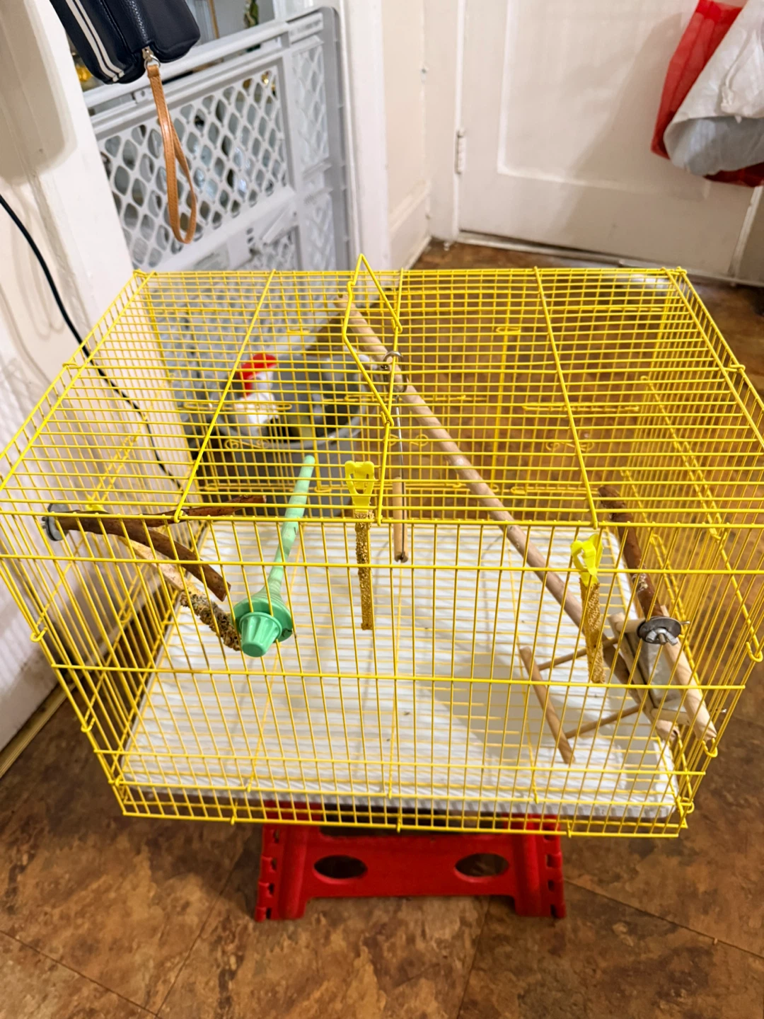 Yellow Bird Cage