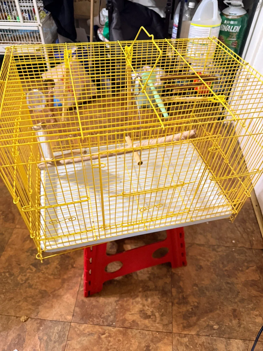 Yellow Bird Cage image indicator(3)