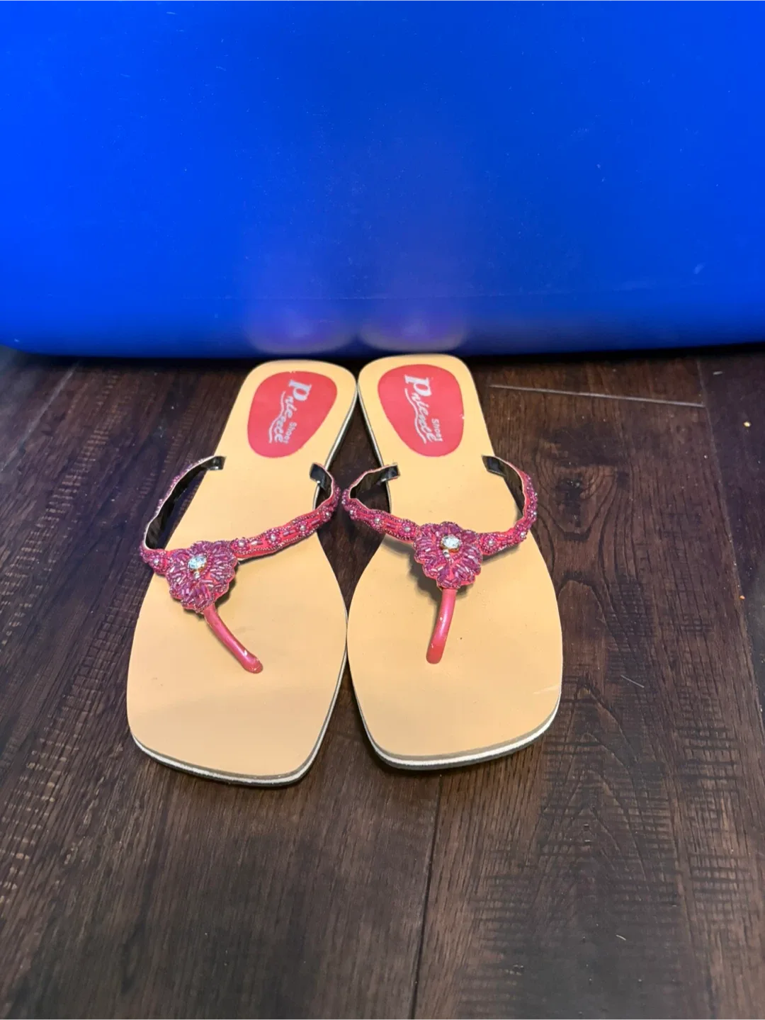 Palette Shoes Beaded Flip Flops size 9