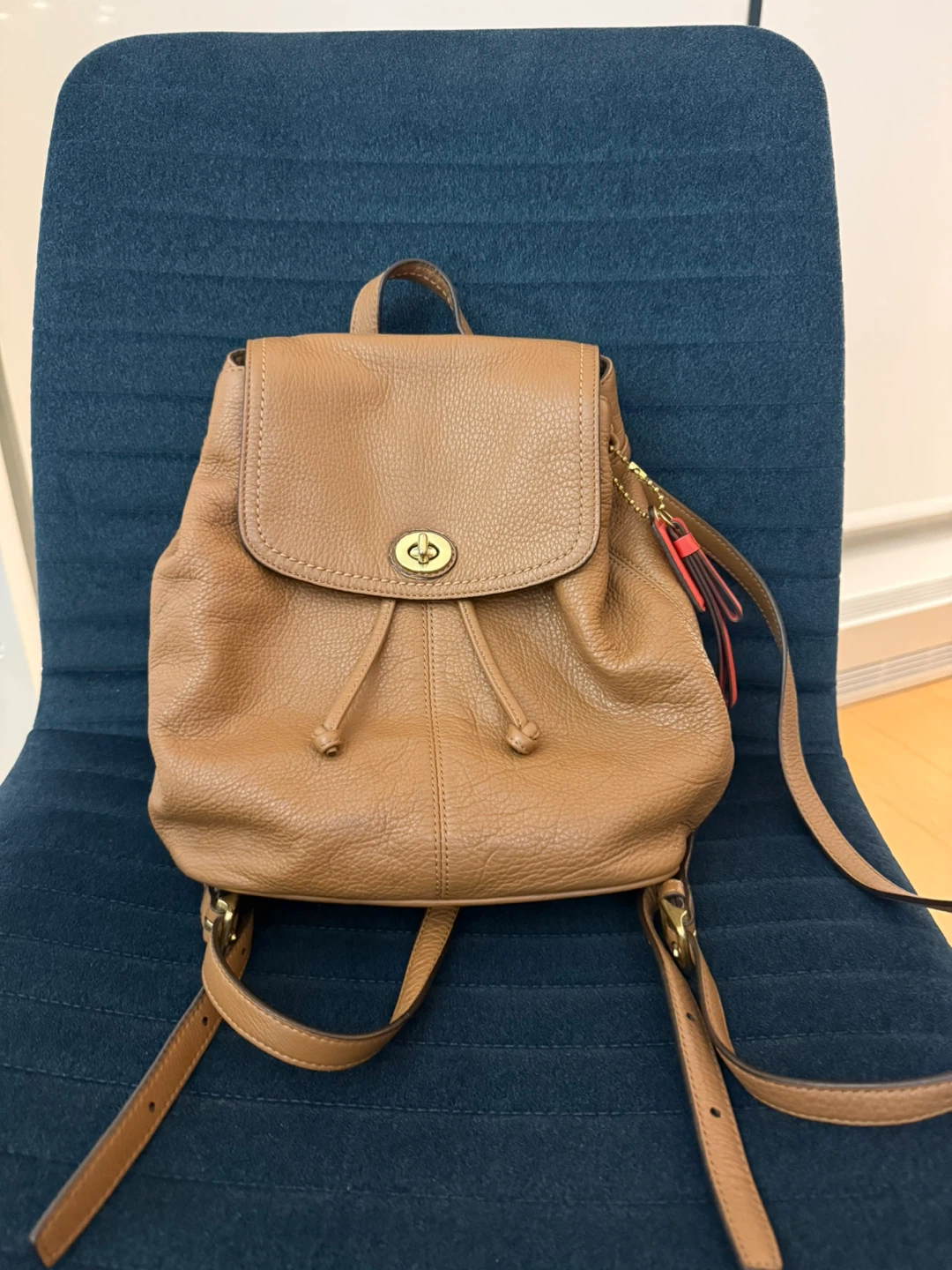 Leather coach backpack