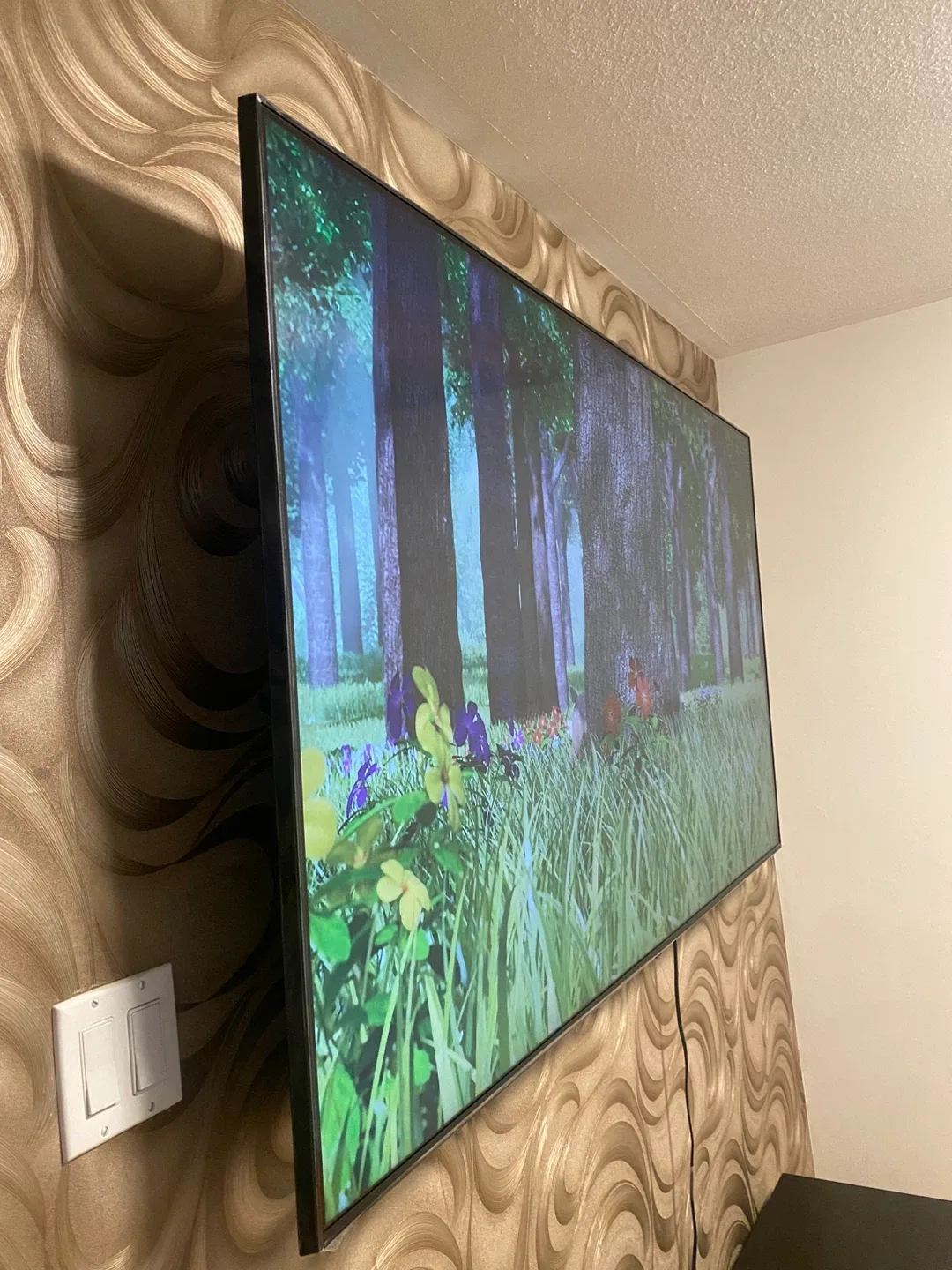 Large Flat Screen 75’ LG TV 4K NANO LED image indicator(2)