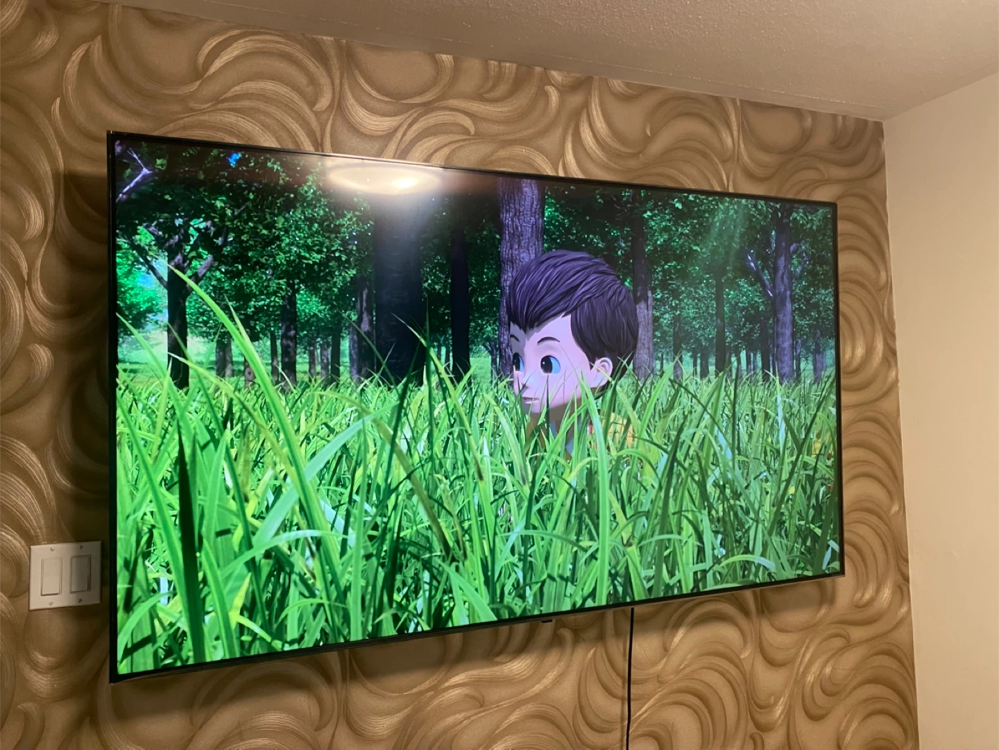 Large Flat Screen 75’ LG TV 4K NANO LED