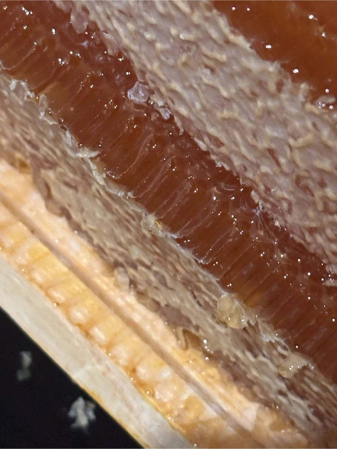 Pure Honey from Little Jamie's Organics image indicator(3)