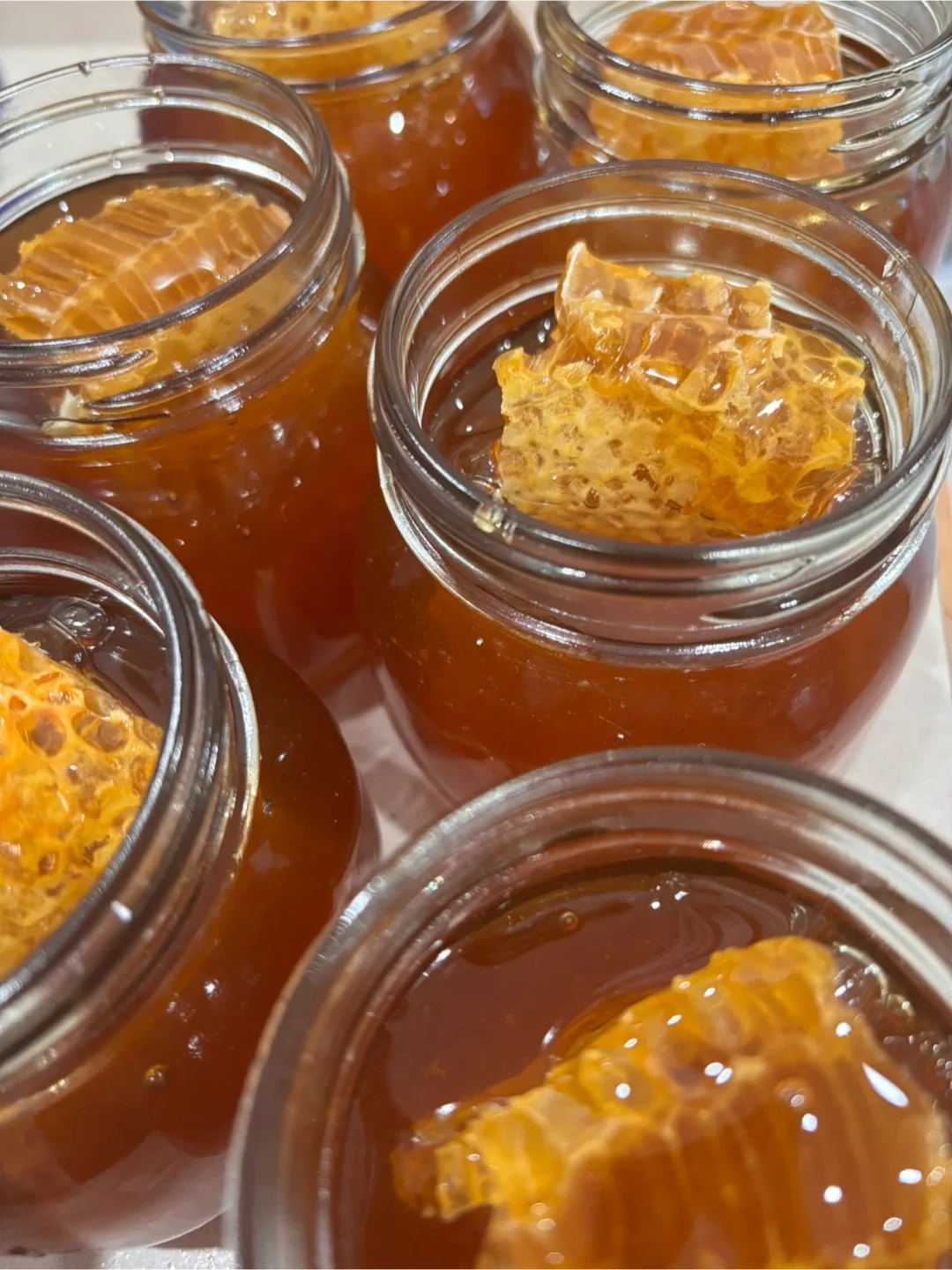 Pure Honey from Little Jamie's Organics image indicator(5)