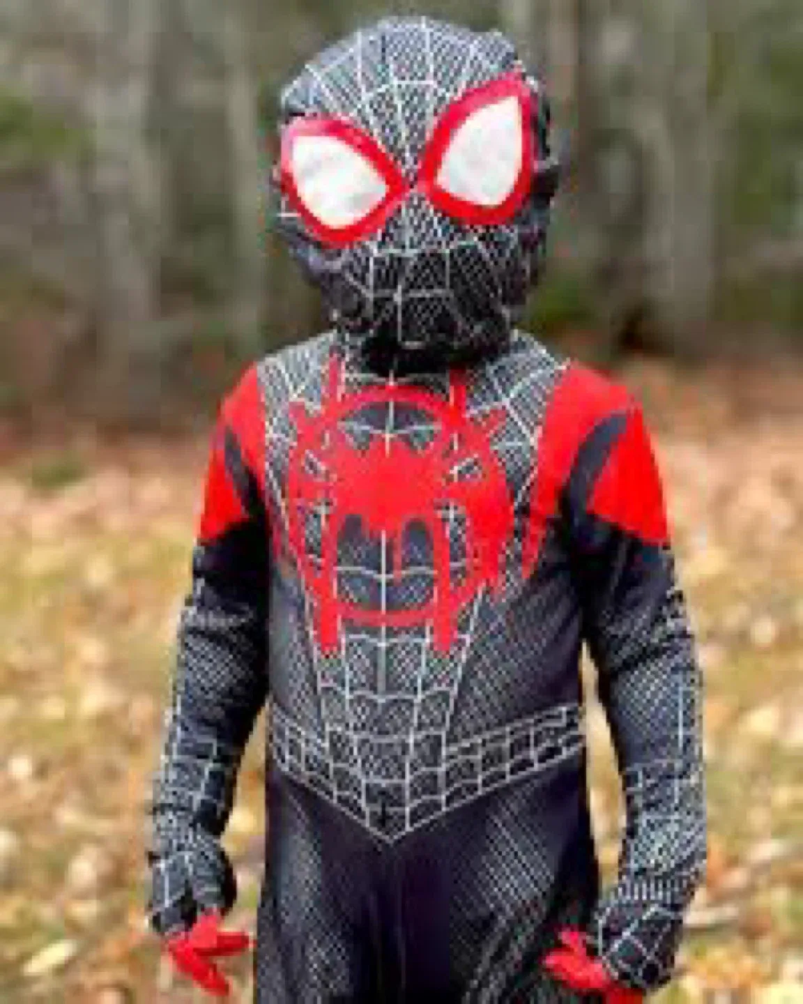 Miles Morales Spiderman Costume - boys size XL image indicator(4)