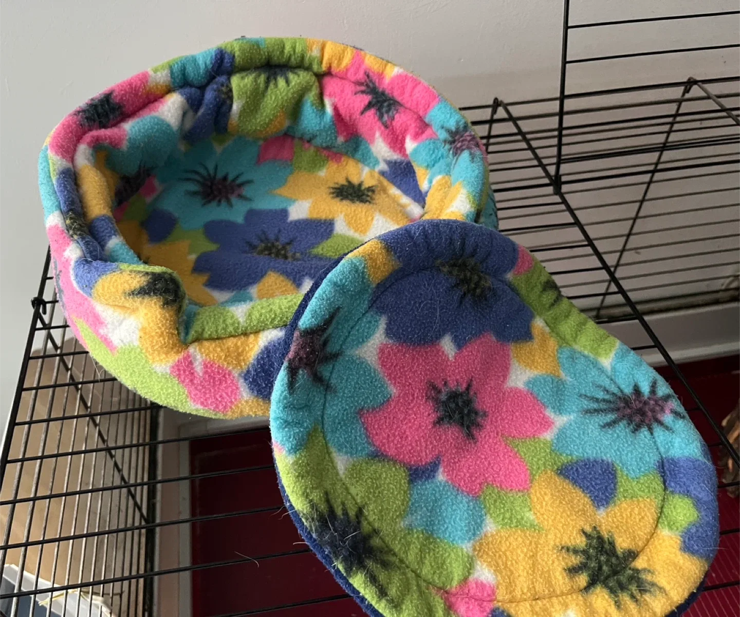 Small pet supplies - for Guinea pigs, rats, rabbits image indicator(2)