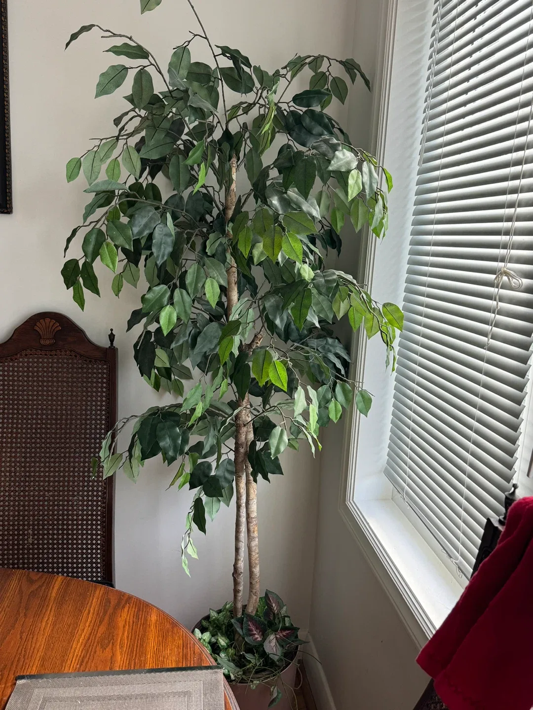 Faux Ficus Tree