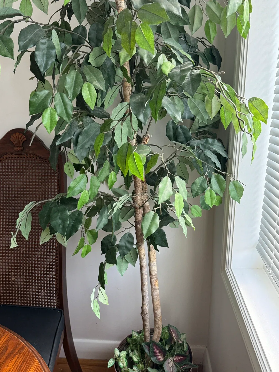 Faux Ficus Tree image indicator(2)