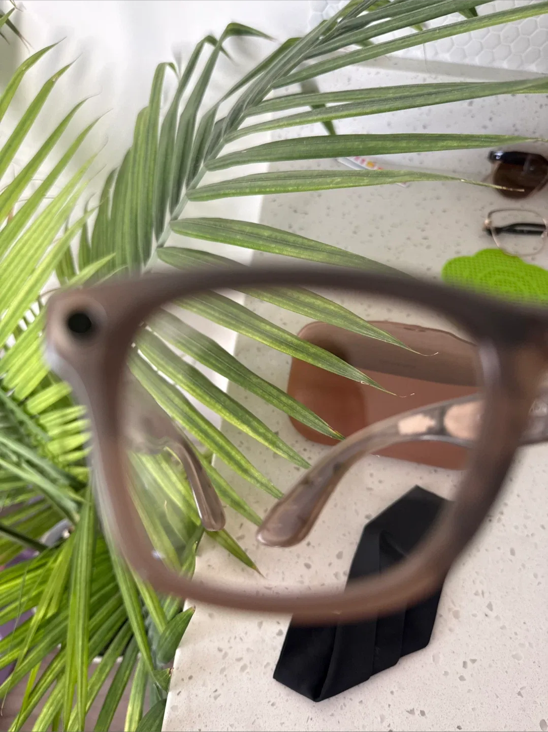 Ray-Ban Wayfarer eyeglasses image indicator(4)