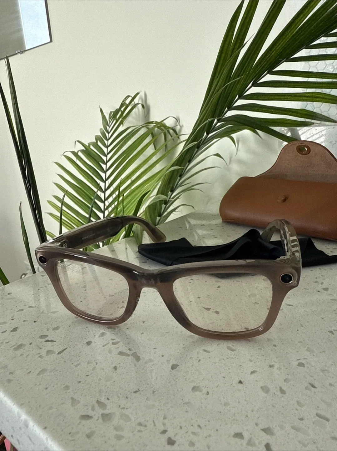 Ray-Ban Wayfarer eyeglasses image indicator(2)
