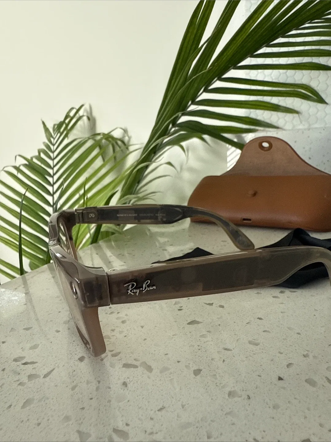 Ray-Ban Wayfarer eyeglasses image indicator(5)