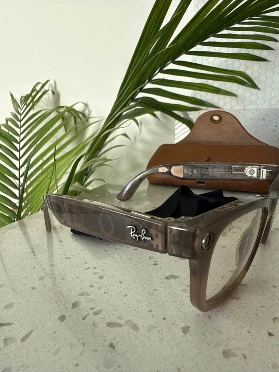 Ray-Ban Wayfarer eyeglasses image indicator(6)