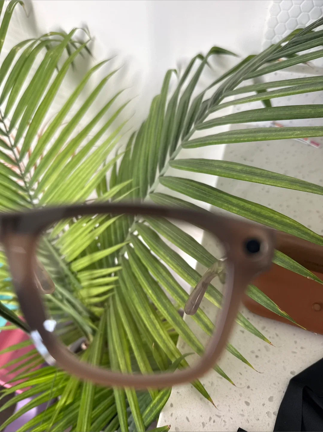 Ray-Ban Wayfarer eyeglasses image indicator(3)