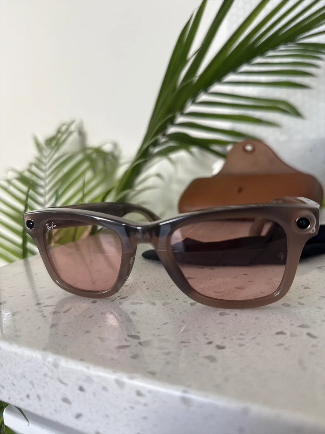 Ray-Ban Wayfarer eyeglasses image indicator(8)