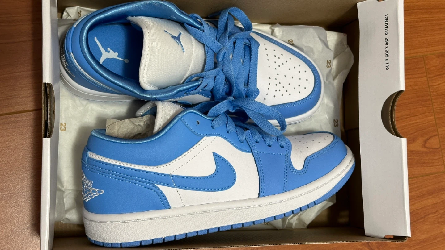 Nike Air Jordan 1 Low Blue