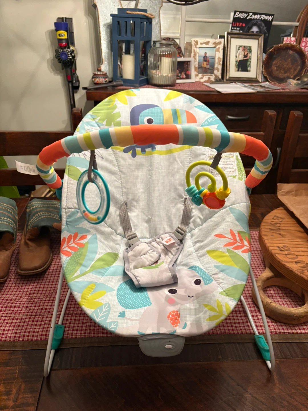 Fisher-Price Baby Bouncer Seat