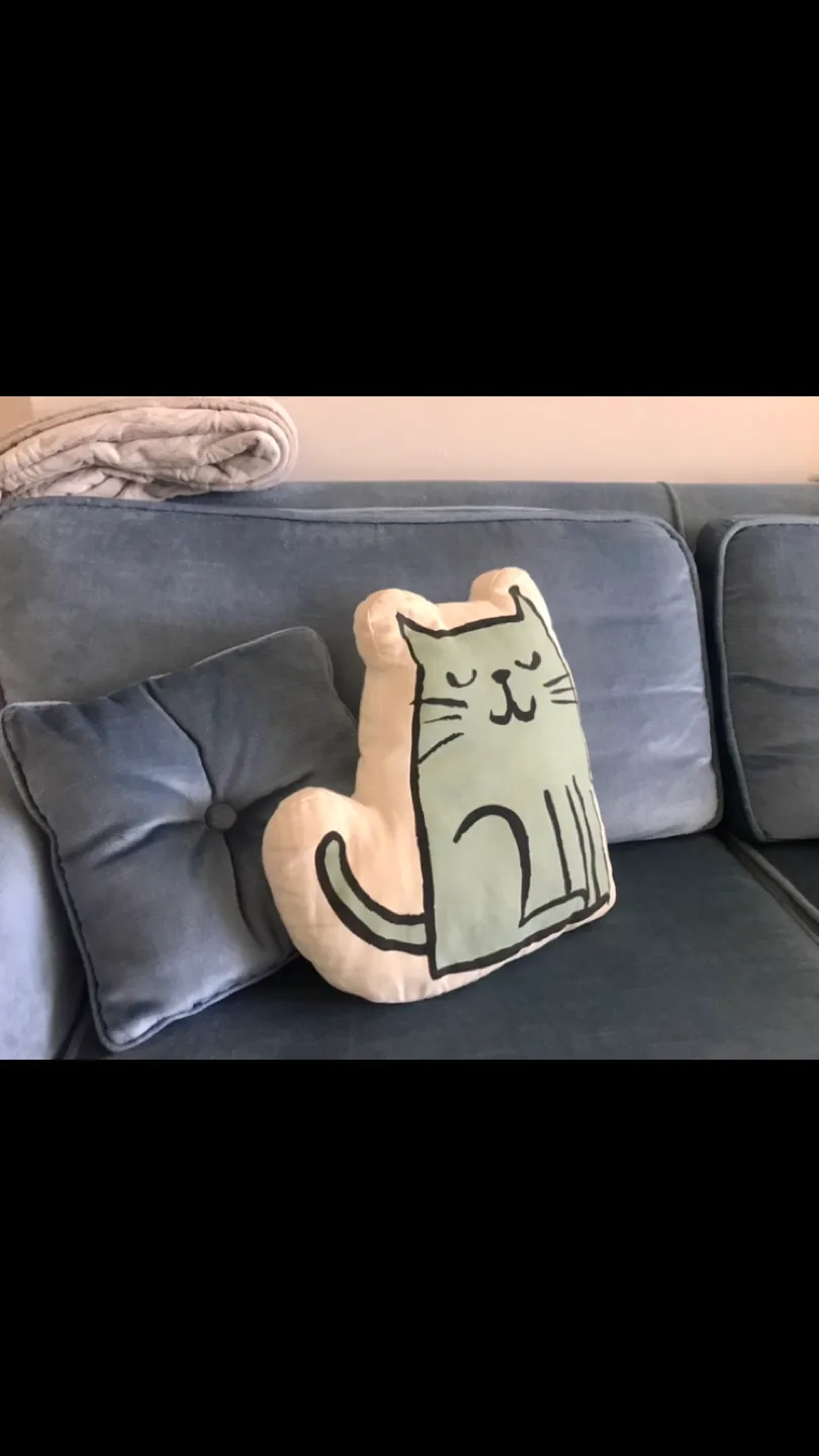 Adorable Cat Design Cushion +✨FREE Cat Earrings thumbnail