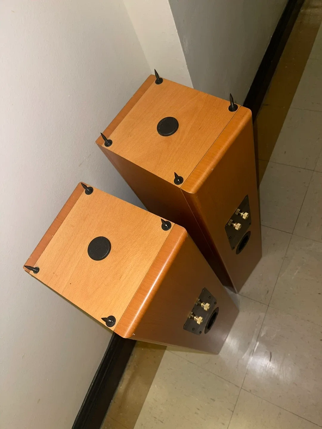 Vienna Acoustics Haydn Grand Speakers (Pair) image indicator(2)