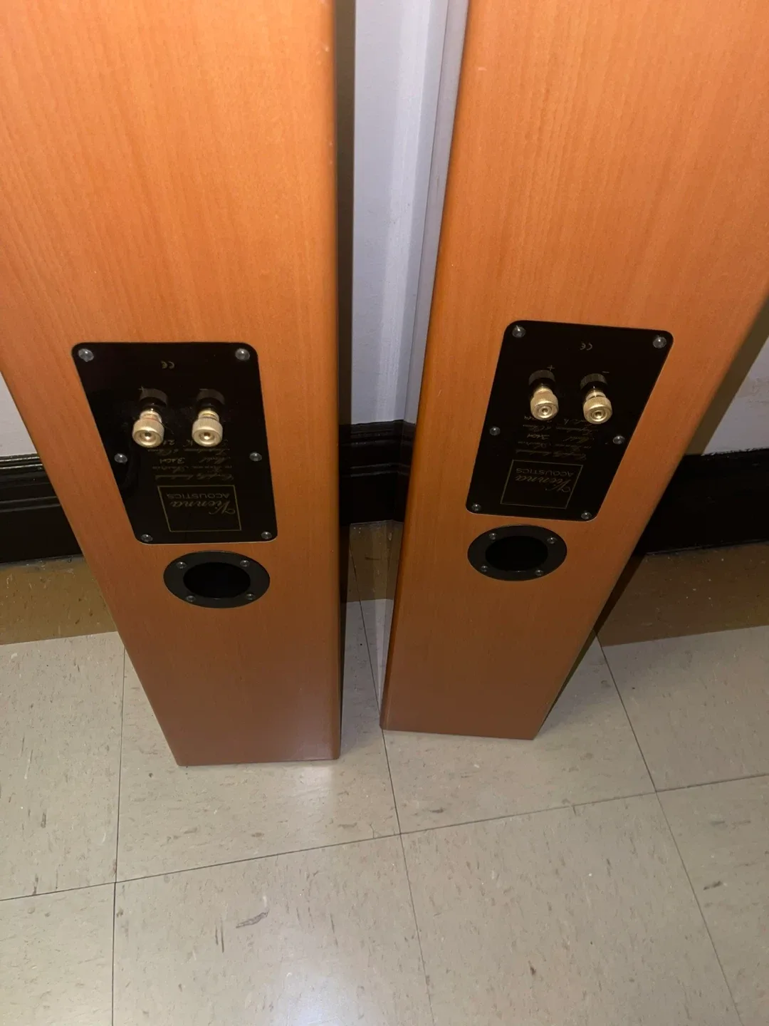 Vienna Acoustics Haydn Grand Speakers (Pair) image indicator(4)