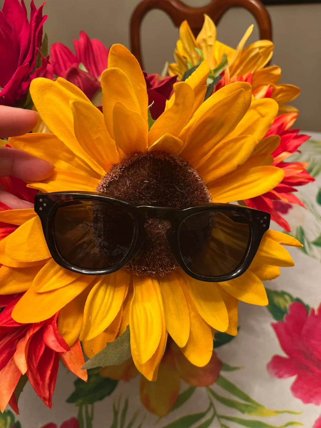 Celine Sunglasses image indicator(6)