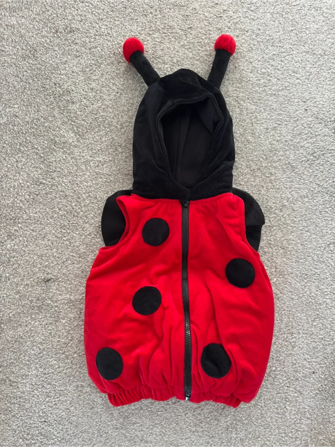 Ladybug Costume for baby (6-9M ) image indicator(2)