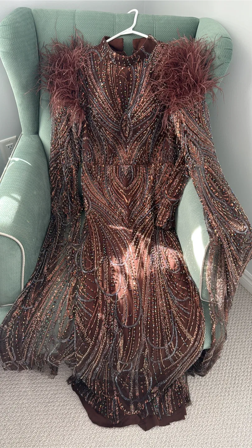 Brown Embellished Feather Shoulder Gown image indicator(2)