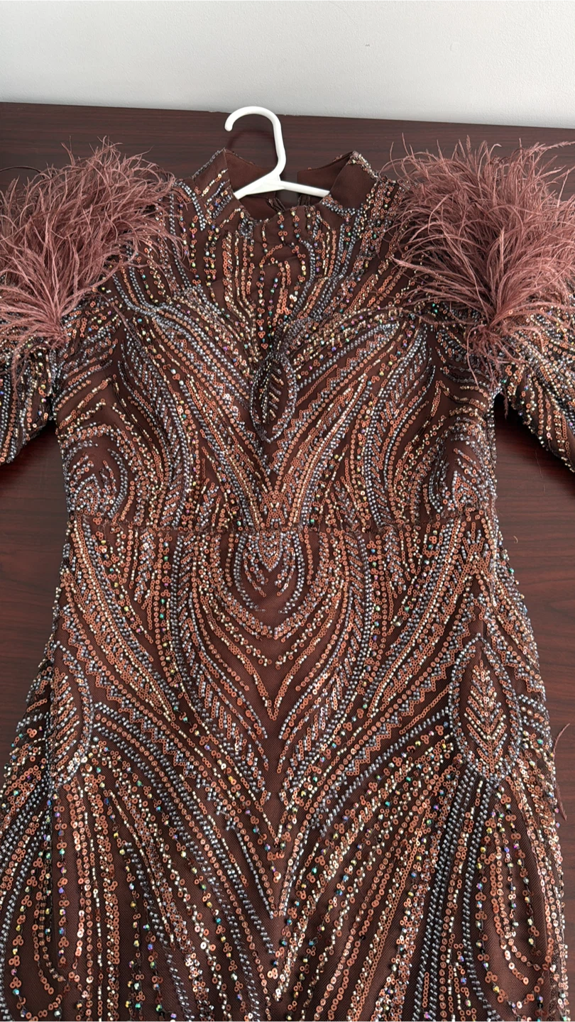 Brown Embellished Feather Shoulder Gown