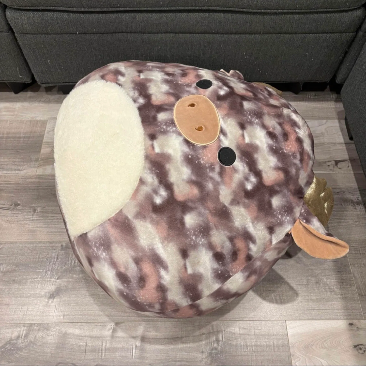 Big squishmallow image indicator(2)