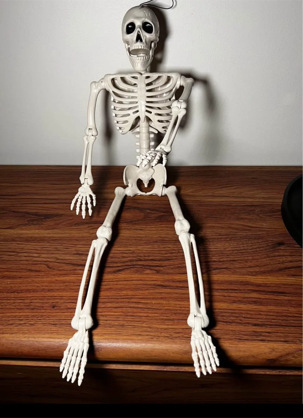 Skeleton Halloween Decoration thumbnail