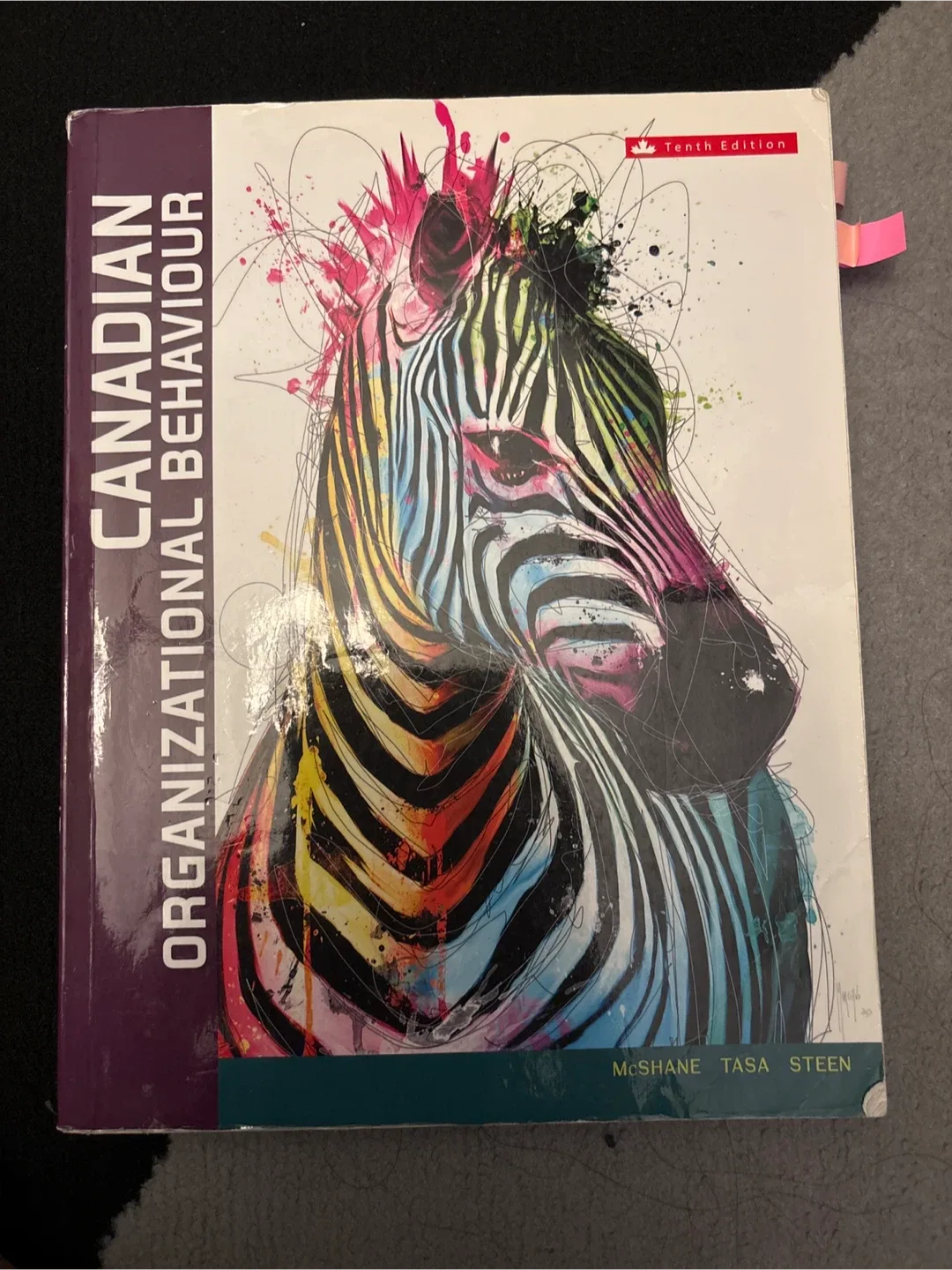 Canadian Organizational Behaviour, Tenth Edition thumbnail