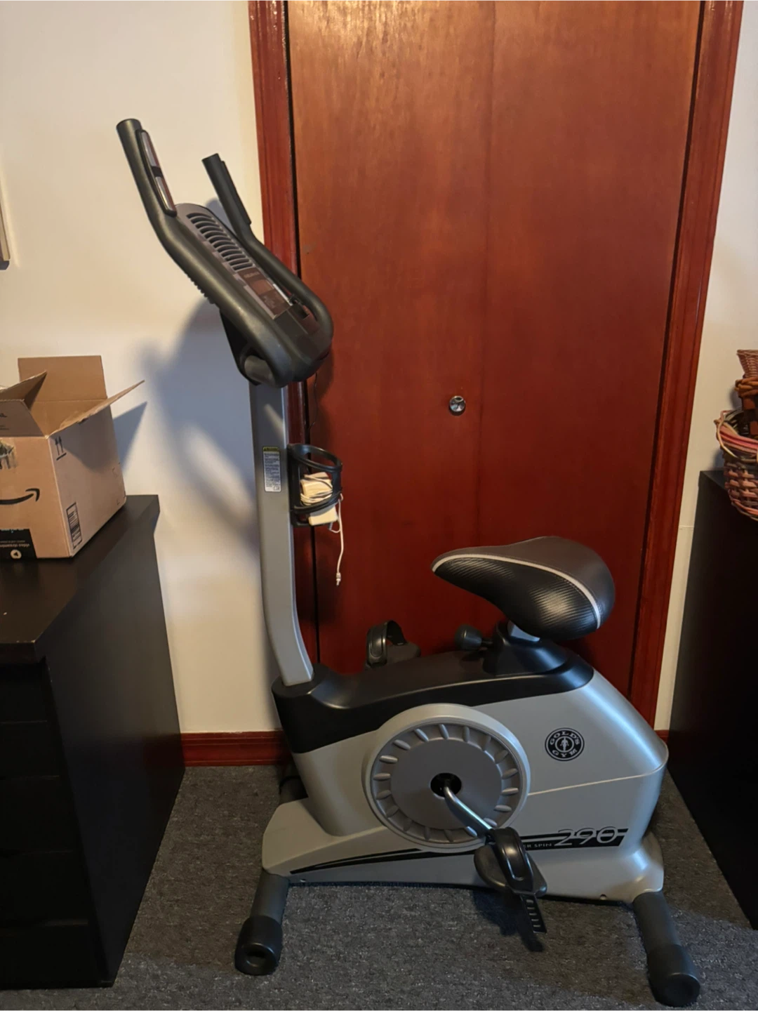 Gold's Gym Cycle Trainer 290 Exercise Bike