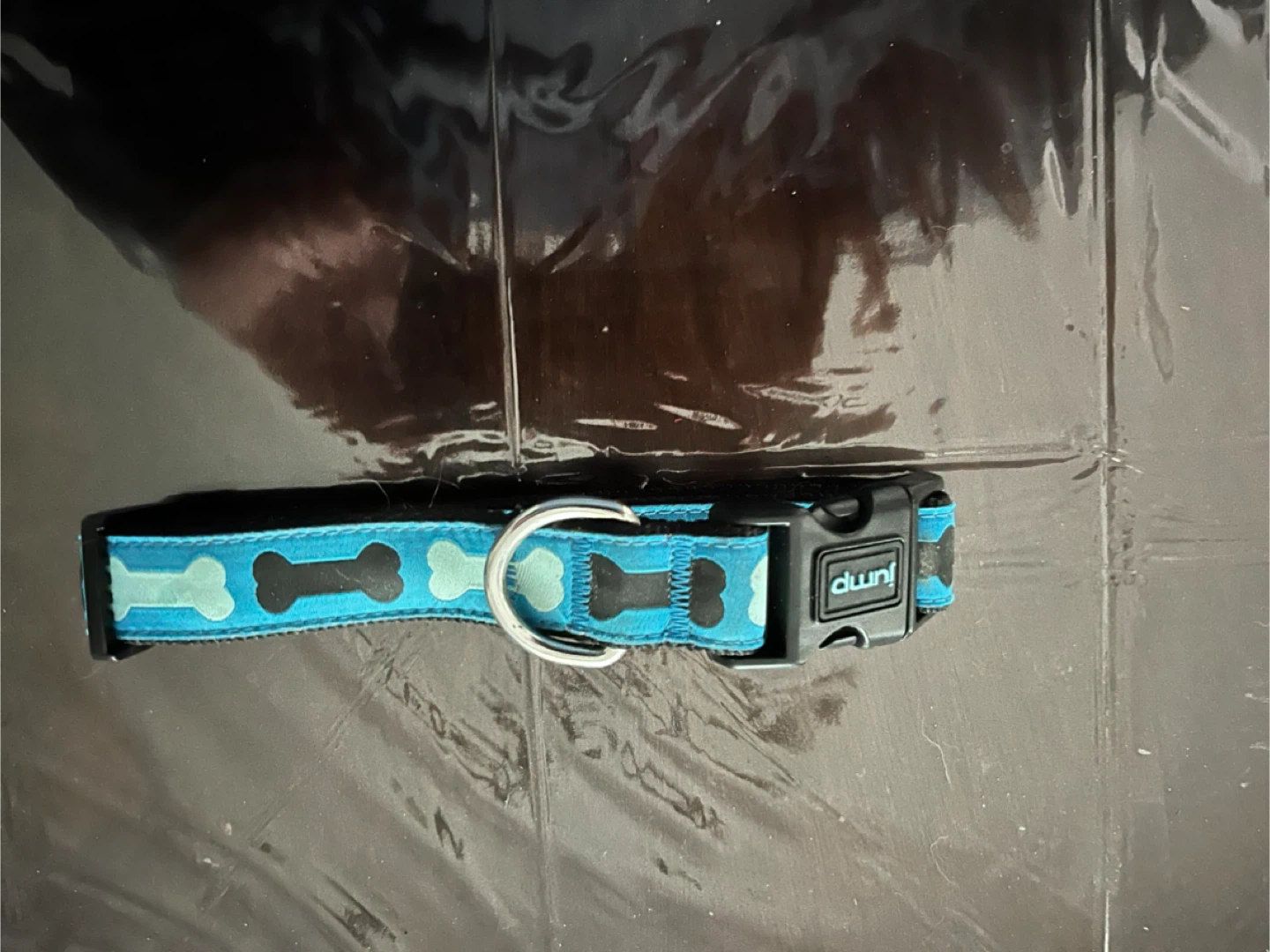 Dog Harnesses & Bow Ties - Dwni, Martha Stewart - photo 4