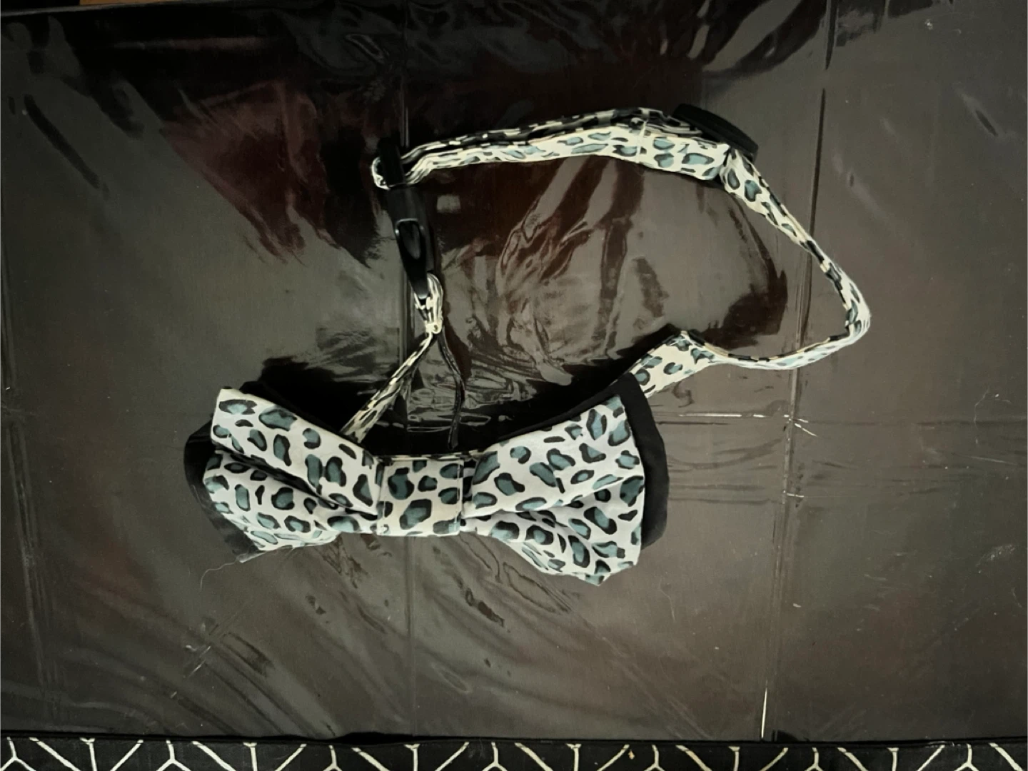 Dog Harnesses & Bow Ties - Dwni, Martha Stewart